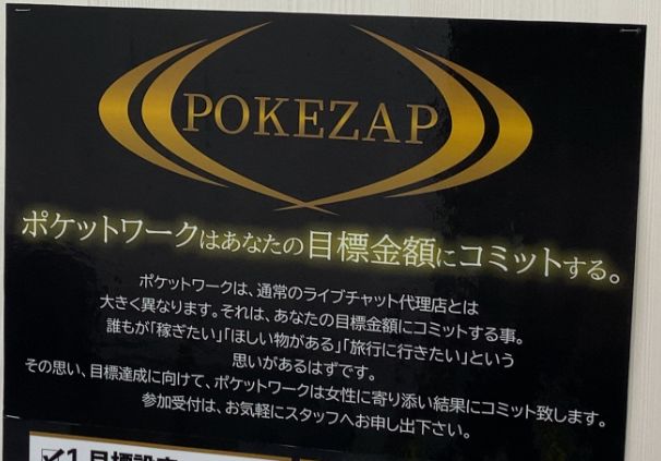 ポケットワーク札幌店のポケザップ（マンツーマンサポートコース）のポスター
